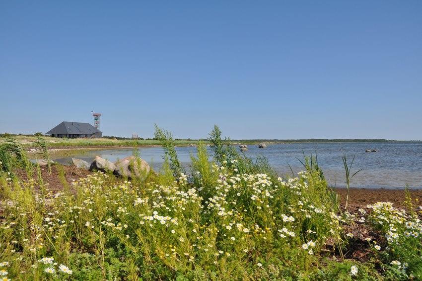 בית הארחה Harbor House Lomala מראה חיצוני תמונה